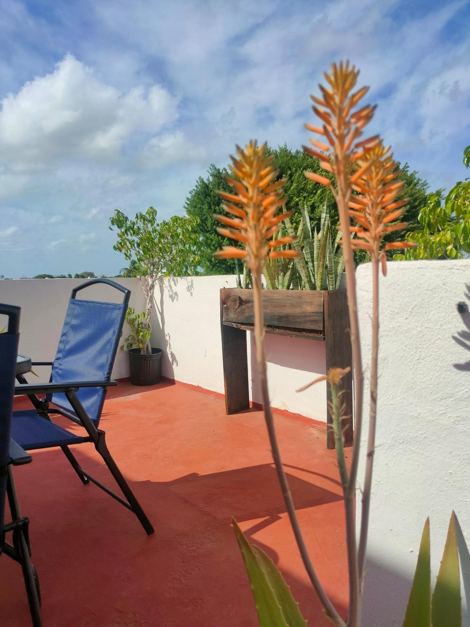 Casa Coraza Lägenhet Cancún Exteriör bild