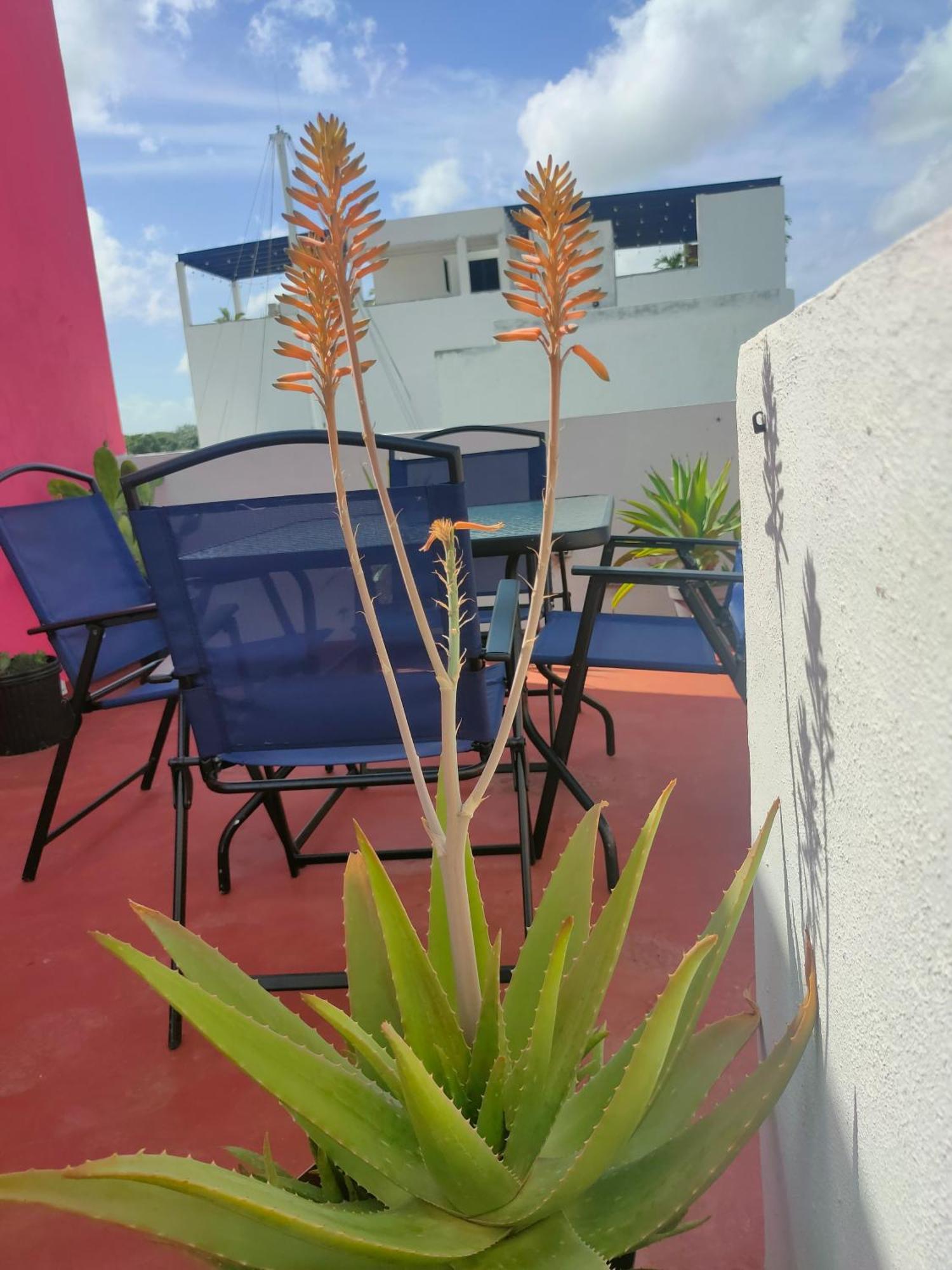 Casa Coraza Lägenhet Cancún Exteriör bild