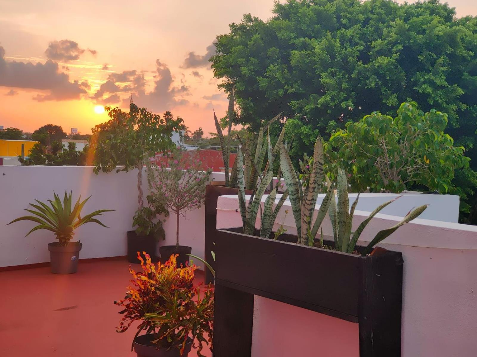Casa Coraza Lägenhet Cancún Exteriör bild
